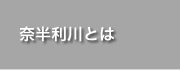 奈半利川とは